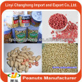 Canned fried peanuts/roasted salted peanuts/blanched peanuts from China